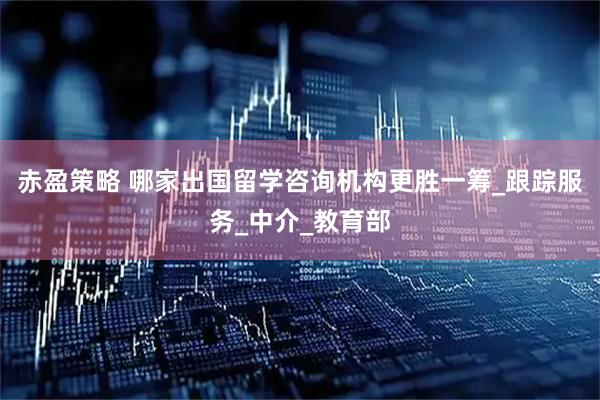 赤盈策略 哪家出国留学咨询机构更胜一筹_跟踪服务_中介_教育部