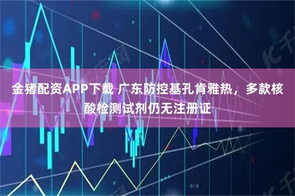 金猪配资APP下载 广东防控基孔肯雅热，多款核酸检测试剂仍无注册证