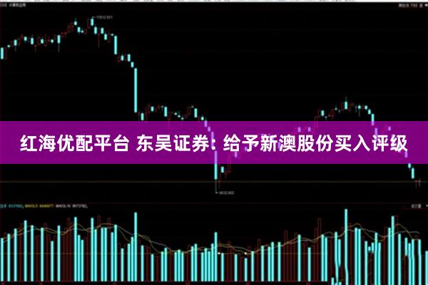 红海优配平台 东吴证券: 给予新澳股份买入评级